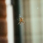 2025年3d试机号与开奖号精准预测分析 0jtytvxvd