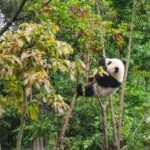 2025年3d游戏第192期开奖结果查询与号码分析 0w49q