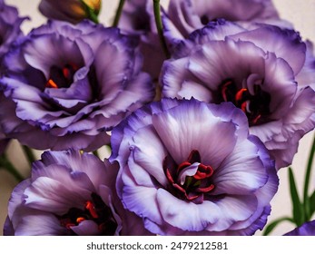 2025年3d彩票第200期开奖结果最新公布