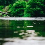 2025年119期3D开奖结果最新公布与详细号码查询 b4hs8r