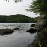 2025年6合开奖最新预测与结果查询指南 bdg6bvk