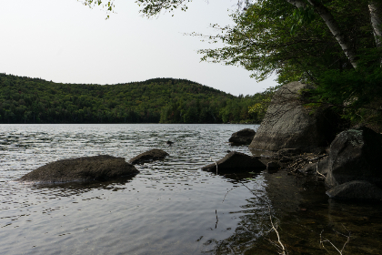 2025年6合开奖最新预测与结果查询指南