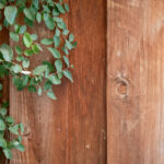 ET直播:探索未知的星际互动新纪元 dcri41qah