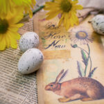 2025年大乐透最新开奖记录与历史数据汇总 h2kvcp