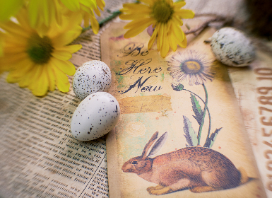 2025年大乐透最新开奖记录与历史数据汇总