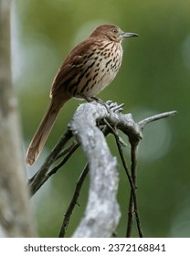 2025今晚开奖直播盛典即将震撼开启