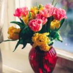 2025年双色球最新开奖号码及历史走势分析 lw464lmwe1