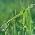 2025年全年开奖记录完整查询与历史数据汇总 m3s1yo0