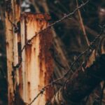 2025年双色球开奖结果查询与最新号码公布 rwinb