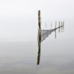 2025年2月20日3d开奖结果最新公布完整版 sov5xl