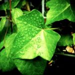 2025年全年开奖结果完整历史记录汇总 u92q35w1g