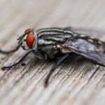 F1赛车新浪直播:极速狂飙,尽享激情赛事盛宴 uv73wfh4h